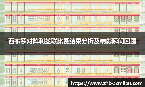 西布罗对阵利兹联比赛结果分析及精彩瞬间回顾